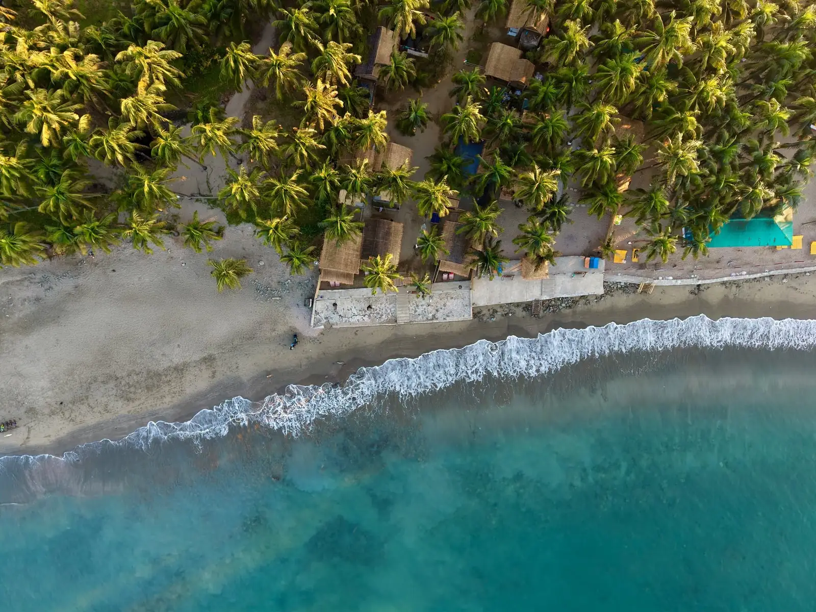 Aerial view of Dwipantor’s palm-lined cottages beside the sea